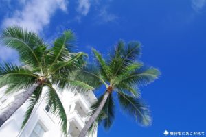 南国風の写真(ヤシの木と空)