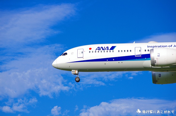 ANAの飛行機(B789)